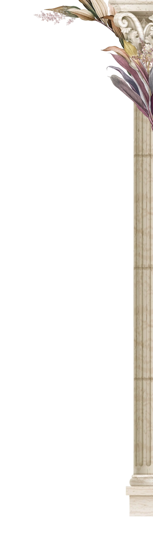 frame